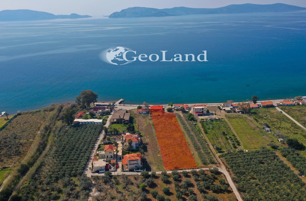 Parcel 5.440 sqm for sale, Argolis, Ermioni