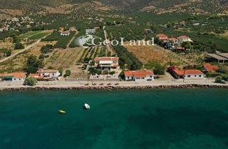 Αγροτεμάχια 5.440 τ.μ. προς πώληση, Αργολίδα, Ερμιόνη-thumb-4