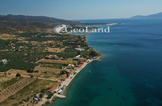 Αγροτεμάχια 5.440 τ.μ. προς πώληση, Αργολίδα, Ερμιόνη-thumb-7