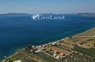 Αγροτεμάχια 5.440 τ.μ. προς πώληση, Αργολίδα, Ερμιόνη-thumb-2