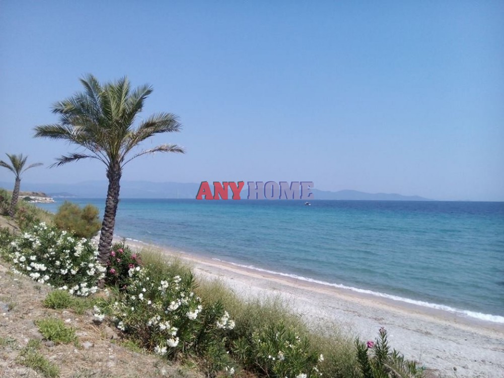 Αγροτεμάχια 10.500 τ.μ. προς πώληση, Ιερισσός