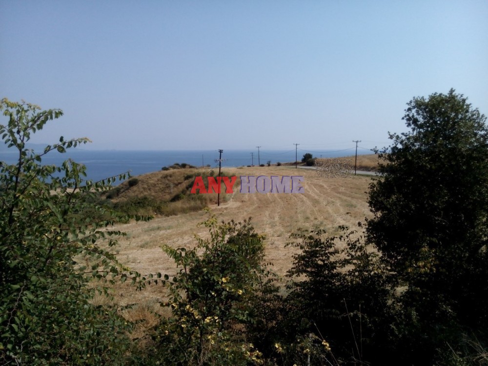 Αγροτεμάχια 10.500 τ.μ. προς πώληση, Ιερισσός
