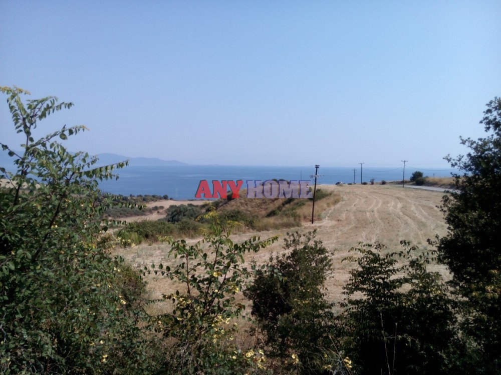 Αγροτεμάχια 10.500 τ.μ. προς πώληση, Ιερισσός