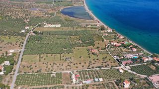 Αγροτεμάχια 5.500 τ.μ. για πώληση, Αργολίδα, Ερμιόνη-thumb-16