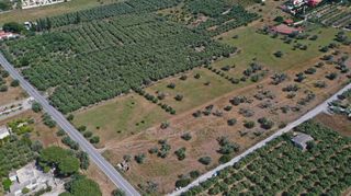 Αγροτεμάχια 5.500 τ.μ. για πώληση, Αργολίδα, Ερμιόνη-thumb-6