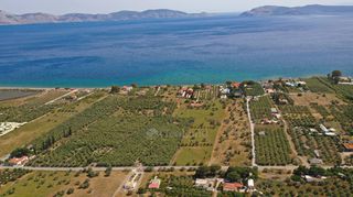 Αγροτεμάχια 5.500 τ.μ. για πώληση