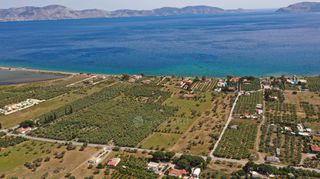 Αγροτεμάχια 5.500 τ.μ. για πώληση, Αργολίδα, Ερμιόνη-thumb-10