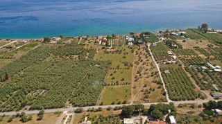 Αγροτεμάχια 5.500 τ.μ. για πώληση, Αργολίδα, Ερμιόνη-thumb-14