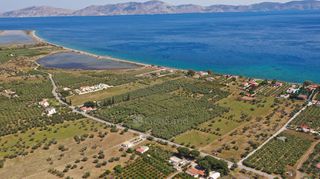 Αγροτεμάχια 5.500 τ.μ. για πώληση, Αργολίδα, Ερμιόνη-thumb-11