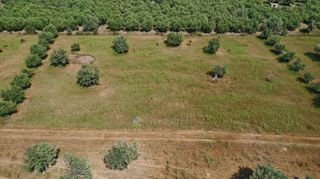 Αγροτεμάχια 5.500 τ.μ. για πώληση, Αργολίδα, Ερμιόνη-thumb-8