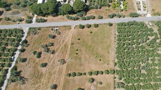 Αγροτεμάχια 5.500 τ.μ. για πώληση, Αργολίδα, Ερμιόνη-thumb-24