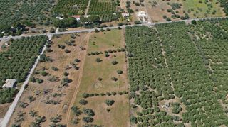 Αγροτεμάχια 5.500 τ.μ. για πώληση, Αργολίδα, Ερμιόνη-thumb-23