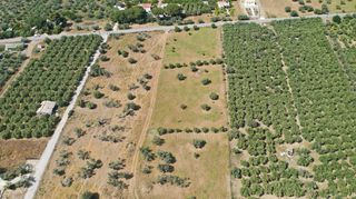 Αγροτεμάχια 5.500 τ.μ. για πώληση, Αργολίδα, Ερμιόνη-thumb-15