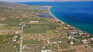 Αγροτεμάχια 5.500 τ.μ. για πώληση, Αργολίδα, Ερμιόνη-thumb-21