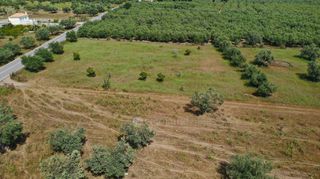 Αγροτεμάχια 5.500 τ.μ. για πώληση, Αργολίδα, Ερμιόνη-thumb-9
