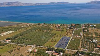 Αγροτεμάχια 5.500 τ.μ. για πώληση, Αργολίδα, Ερμιόνη-thumb-1