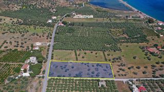 Αγροτεμάχια 5.500 τ.μ. για πώληση, Αργολίδα, Ερμιόνη-thumb-2