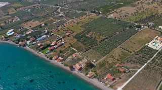 Αγροτεμάχια 5.500 τ.μ. για πώληση, Αργολίδα, Ερμιόνη-thumb-5
