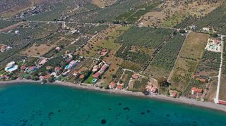 Αγροτεμάχια 5.500 τ.μ. για πώληση, Αργολίδα, Ερμιόνη-thumb-20