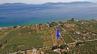 Αγροτεμάχια 5.500 τ.μ. για πώληση, Αργολίδα, Ερμιόνη-thumb-3