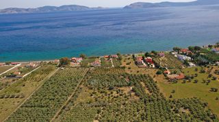 Αγροτεμάχια 5.500 τ.μ. για πώληση, Αργολίδα, Ερμιόνη-thumb-19