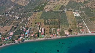 Αγροτεμάχια 5.500 τ.μ. για πώληση, Αργολίδα, Ερμιόνη-thumb-18