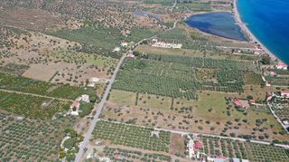 Αγροτεμάχια 3.500 τ.μ. για πώληση, Αργολίδα, Ερμιόνη-thumb-21