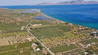 Αγροτεμάχια 3.500 τ.μ. για πώληση, Αργολίδα, Ερμιόνη-thumb-20