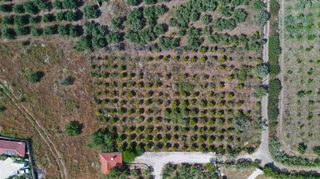 Αγροτεμάχια 3.500 τ.μ. για πώληση, Αργολίδα, Ερμιόνη-thumb-6