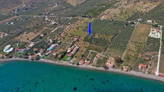 Αγροτεμάχια 3.500 τ.μ. για πώληση, Αργολίδα, Ερμιόνη-thumb-2