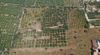Αγροτεμάχια 3.500 τ.μ. για πώληση, Αργολίδα, Ερμιόνη-thumb-17
