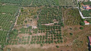 Αγροτεμάχια 3.500 τ.μ. για πώληση, Αργολίδα, Ερμιόνη-thumb-14