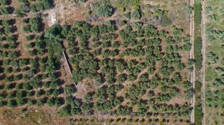 Αγροτεμάχια 3.500 τ.μ. για πώληση, Αργολίδα, Ερμιόνη-thumb-11