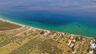 Αγροτεμάχια 3.500 τ.μ. για πώληση