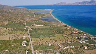 Αγροτεμάχια 3.500 τ.μ. για πώληση, Αργολίδα, Ερμιόνη-thumb-22