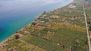 Αγροτεμάχια 3.500 τ.μ. για πώληση, Αργολίδα, Ερμιόνη-thumb-10