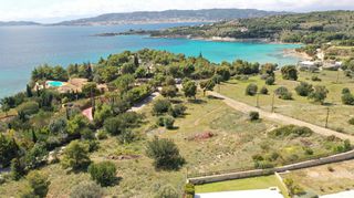 Αγροτεμάχια 6.000 τ.μ. για πώληση