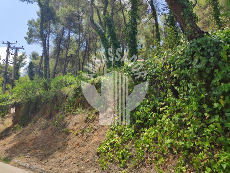 Οικόπεδο 1.100 τ.μ. για πώληση
