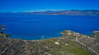 Αγροτεμάχια 12.605 τ.μ. για πώληση, Αργολίδα, Κρανίδι-thumb-12