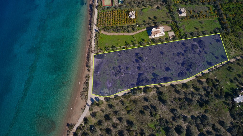 Αγροτεμάχια 12.605 τ.μ. προς πώληση, Θυνί