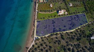 Αγροτεμάχια 12.605 τ.μ. για πώληση, Αργολίδα, Κρανίδι-thumb-2
