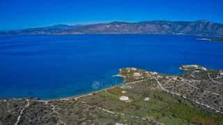 Αγροτεμάχια 12.605 τ.μ. για πώληση, Αργολίδα, Κρανίδι-thumb-7