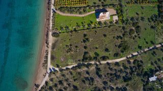 Αγροτεμάχια 12.605 τ.μ. για πώληση, Αργολίδα, Κρανίδι-thumb-13