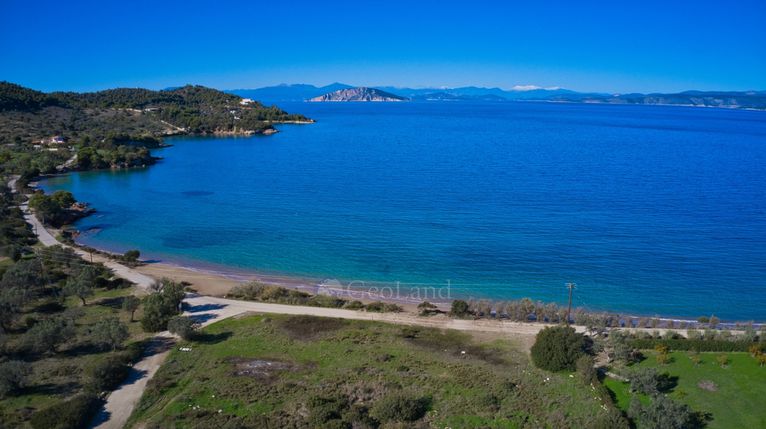 Αγροτεμάχια 12.605 τ.μ. για πώληση, Αργολίδα, Κρανίδι