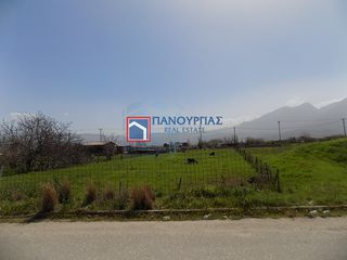Οικόπεδο 818 τ.μ. για πώληση, Φθιώτιδας, Λαμία-thumb-5