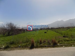 Οικόπεδο 818 τ.μ. για πώληση, Φθιώτιδας, Λαμία-thumb-6