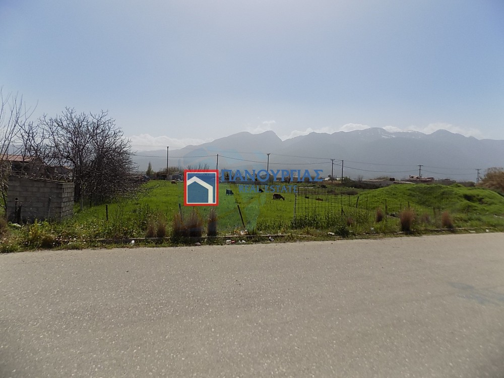 Οικόπεδο 818 τ.μ. πρός πώληση, Φθιώτιδας, Λαμία