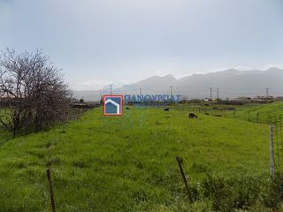Οικόπεδο 818 τ.μ. για πώληση, Φθιώτιδας, Λαμία-thumb-7