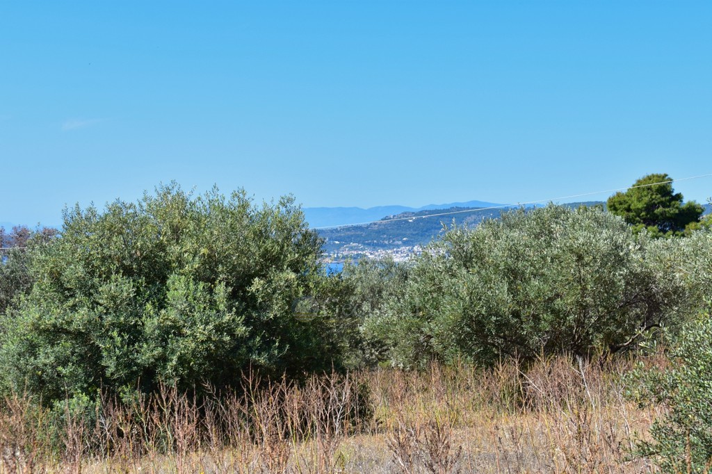 Οικόπεδο 1.021 τ.μ. προς πώληση, Άγιος Αιμιλιανός