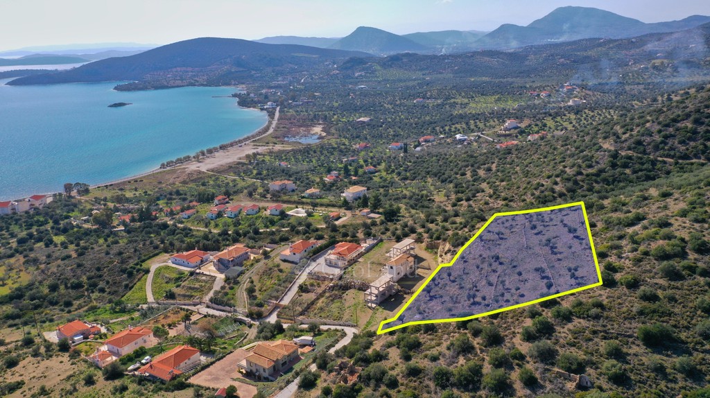 Αγροτεμάχια 5.228 τ.μ. πρός πώληση, Αργολίδα, Ερμιόνη